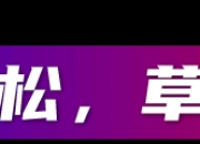 华孚科技推出Token工厂解决方案