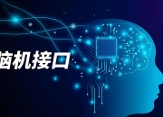 钧崴电子：公司产品目前在存储芯片领域未有应用