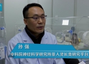 科研人员开发出整合神经元功能、结构和分子的新平台