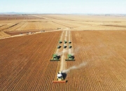 农业农村部：大豆自给率两年提高了近4个百分点