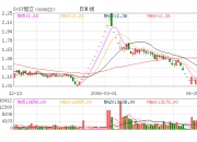 *ST恒立录得17天13板