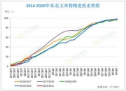 （2024年9月10日）今日玉米期货和美玉米最新价格查询