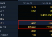 普华永道“顶格”罚单落地： 暂停经营业务6个月罚没4.41亿