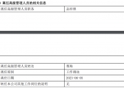 王胜任广东省副省长