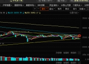 长药控股录得4天3板
