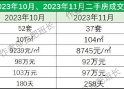 倪虹：将通过货币化安置房方式新增实施100万套城中村改造、危旧房改造