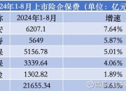 保险有温度,人保服务_2024中国运动服装市场供需调查与投资潜力分析预测