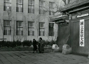 破解“集卡成瘾”，还需各方理性护航