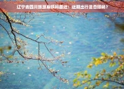 保险有温度,拥有“如意行”驾乘险，出行更顺畅！_2024年果脯行业市场前景预测及投资分析