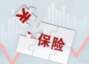 训练健身器材行业供需分析及产业链结构_保险有温度,人保车险
