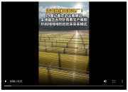 虾青素行业市场深度调研及发展现状、竞争格局分析2024_人保伴您前行,拥有“如意行”驾乘险，出行更顺畅！
