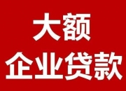 人保财险政银保 ,人保财险 _2024年中国小微贷款行业市场分析及现状调研