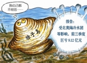 北交所融资融券余额10.35亿元，环比减少969.56万元