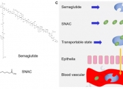 我国科学家破解抗结核药物贝达喹啉及其衍生物作用机理