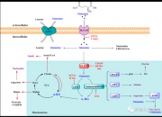 我国科学家提出甲烷介导的氨动力发动机构想