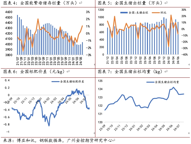 （2024年8月12日）今日生猪期货最新价格查询