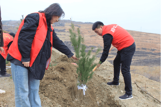 人保伴您前行,人保财险政银保 _共享住宿行业发展现状、前景趋势研究分析