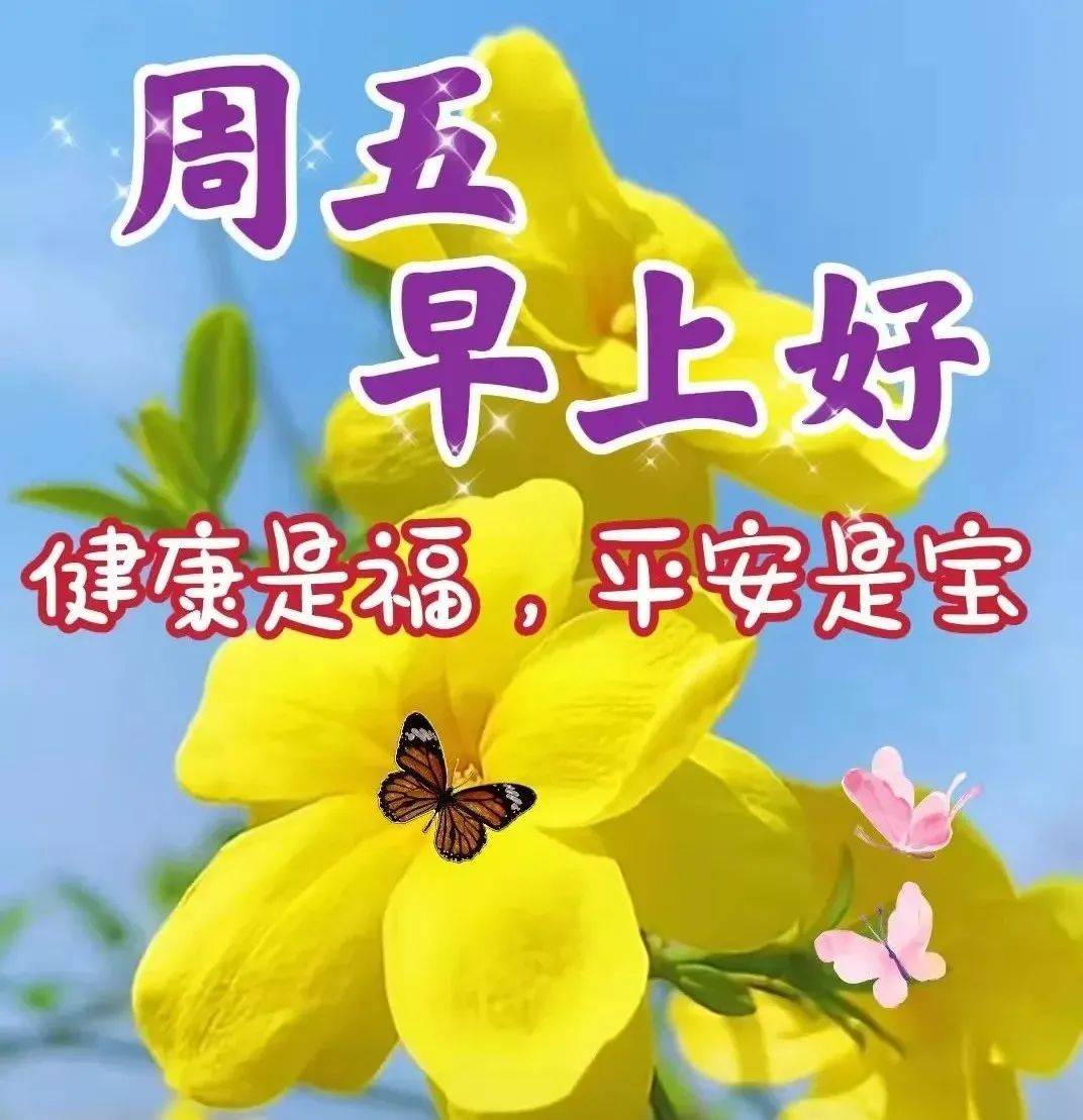 阳光乳业：截止到2024年8月10日我公司股东户数为 22904户
