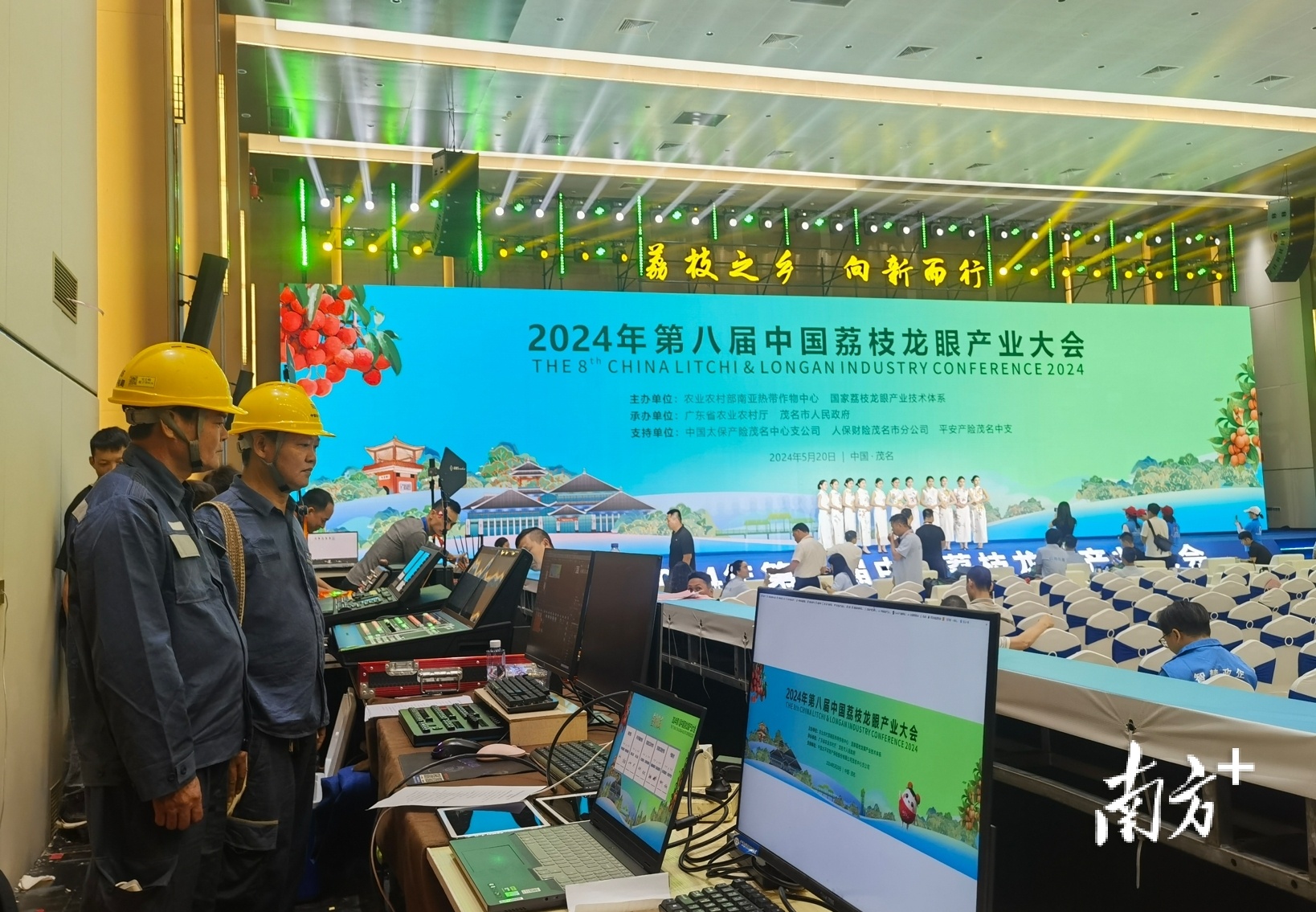 2025年龙眼行业发展趋势及供需分析_人保服务,人保财险 