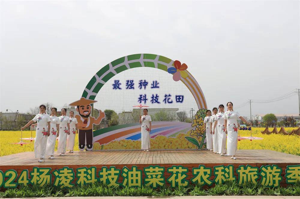 春光科技在金华新设电商子公司