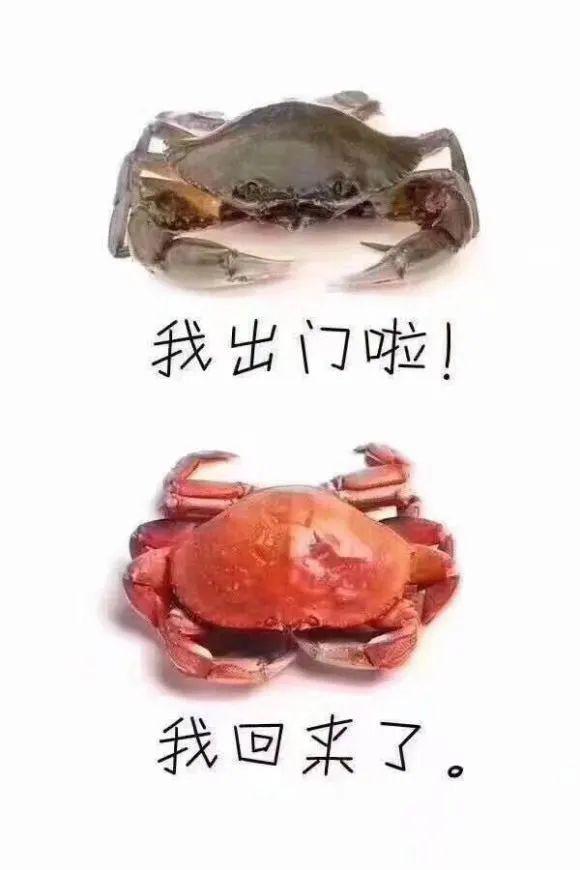 10年交了23万元保费，取出来要等到2084年……知情人士：能理解需要钱的心情，但确实没有误导
