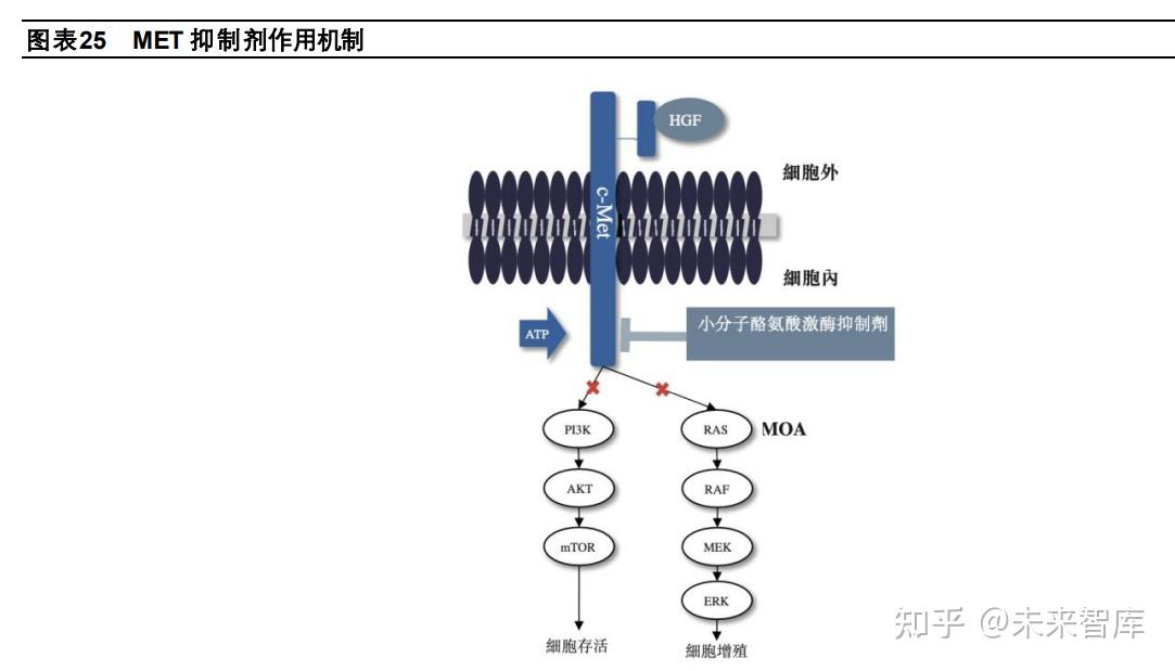 东阳光药业递交上市申请 抗感染药物领域表现突出