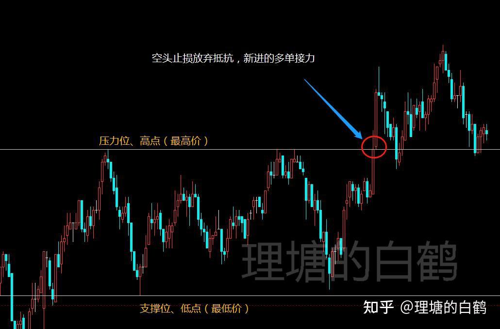 12月16日收盘菜籽油期货资金流入5448.04万元