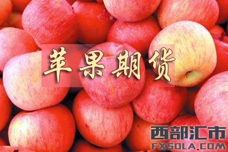 （2024年12月23日）今日苹果期货最新价格查询