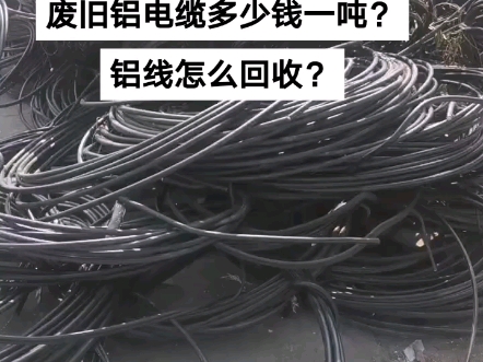 2024年12月24日今日现货棉花价格最新报价多少钱一吨
