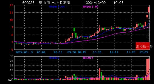 惠而浦发布2024年预增公告 净利润同比增长122.00%