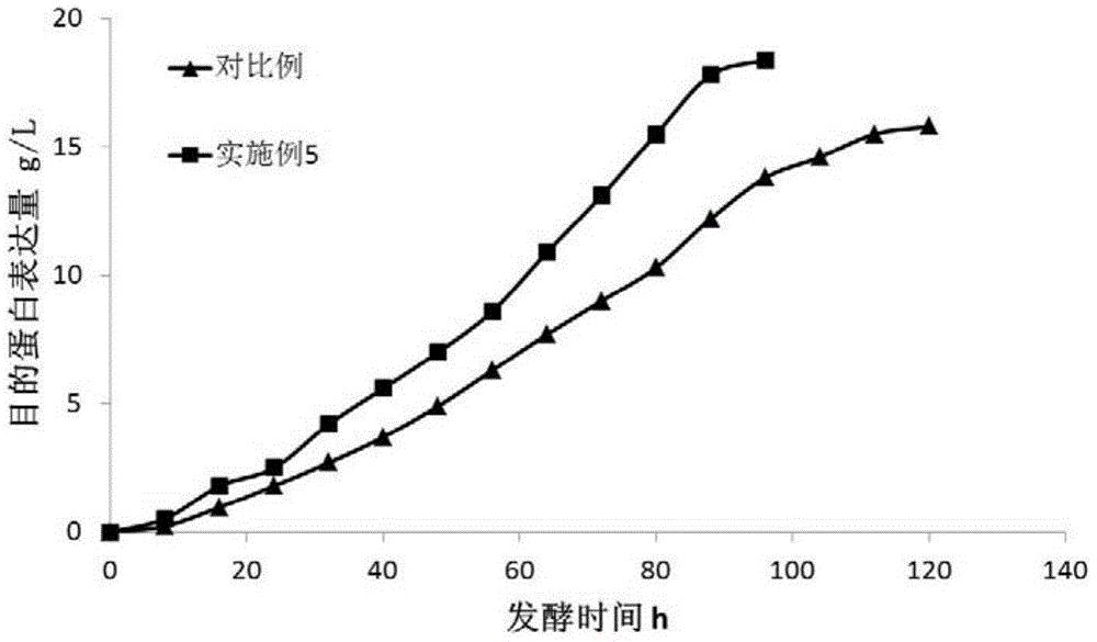 诺唯赞获得发明专利授权：“一类新的重组胶原蛋白及其制备方法和用途”