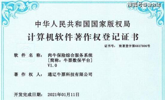 中国瑞林新注册《瑞林Excel类成果文件线上出图工具V1.0》等2个项目的软件著作权