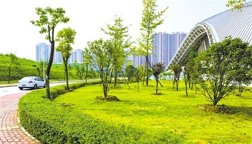 碳路者说|中国节能协会副秘书长张军涛：零碳园区引领绿色转型 构建双碳实践新图景