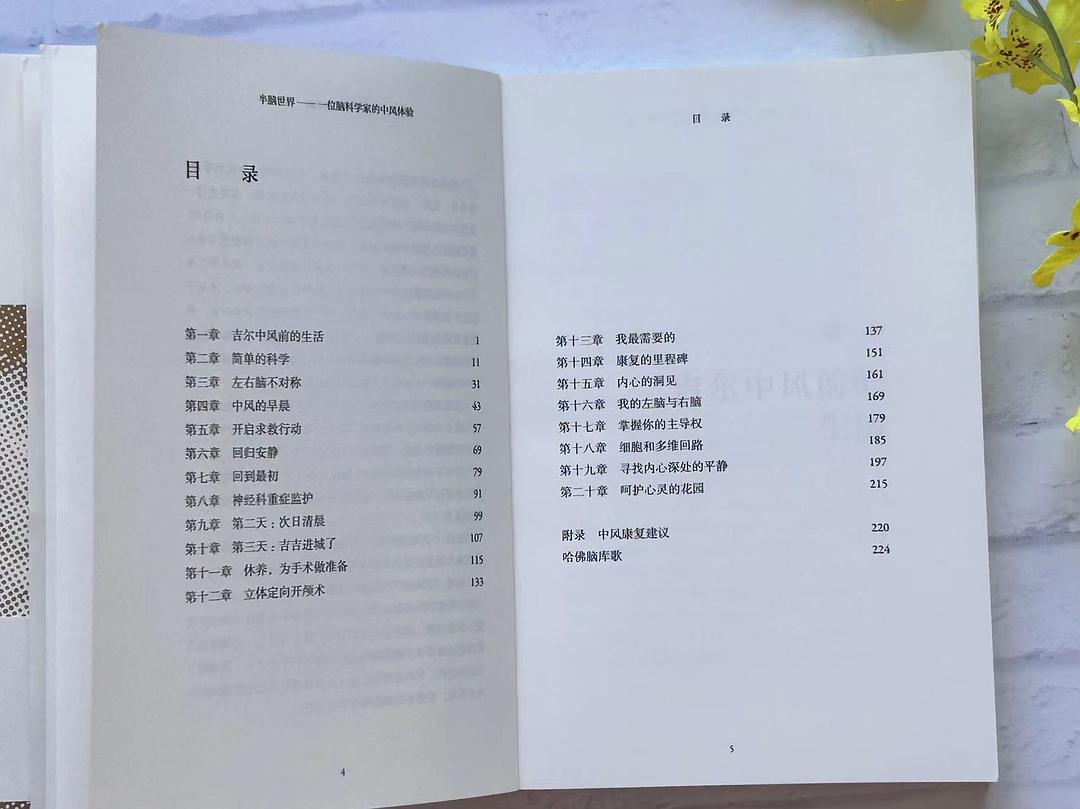 我国科学家在世界上首次绘制！事关脑科学