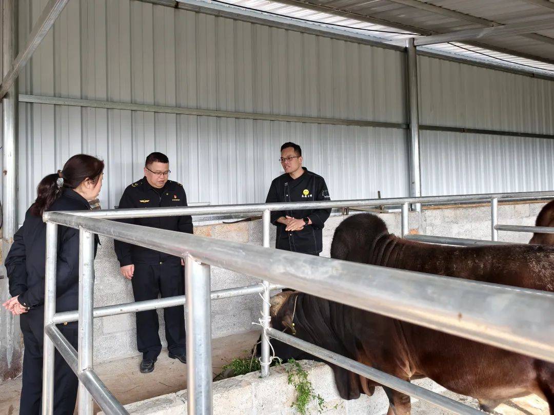 市场监管总局召开2025年直播带货食品安全行政指导会