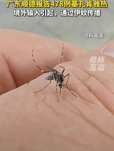 广东顺德累计报告基孔肯雅热确诊病例1161例