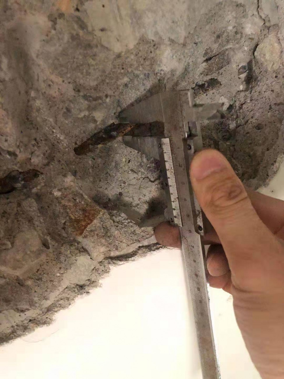 房屋检测概念上涨2.90%，8股主力资金净流入超千万元