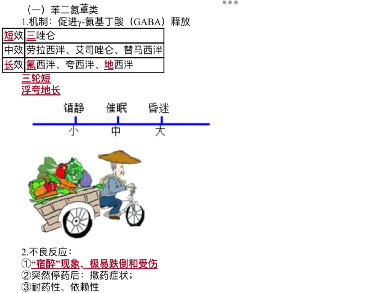 新研究揭示肠道“休眠”噬菌体被“唤醒”的机制