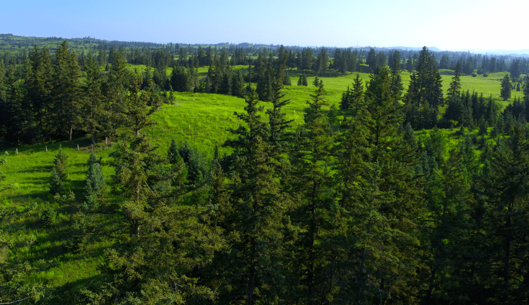 汇绿生态等成立绿色环境生态科技公司