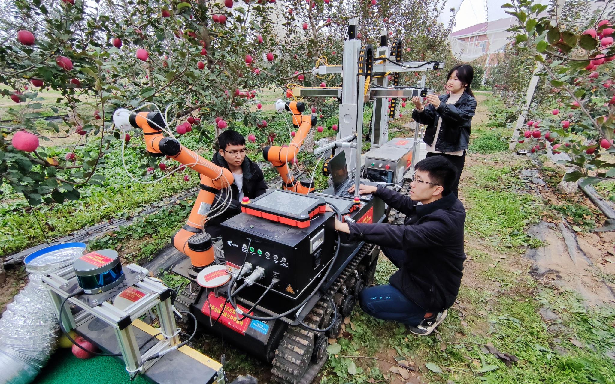 机器人采摘无人机运送 科技绘就农业丰收新图景