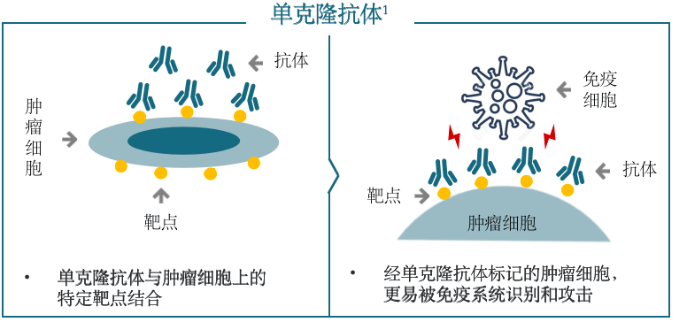 细胞免疫治疗概念下跌1.05%，主力资金净流出42股