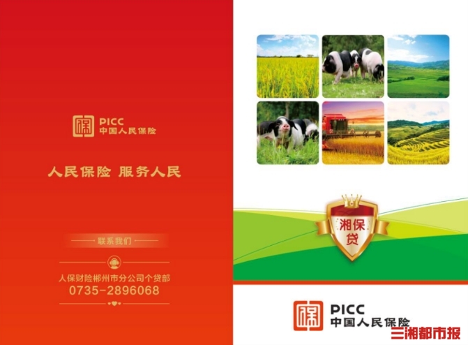 人保服务,人保财险 _冰雪行业现状与发展趋势分析(2026年)