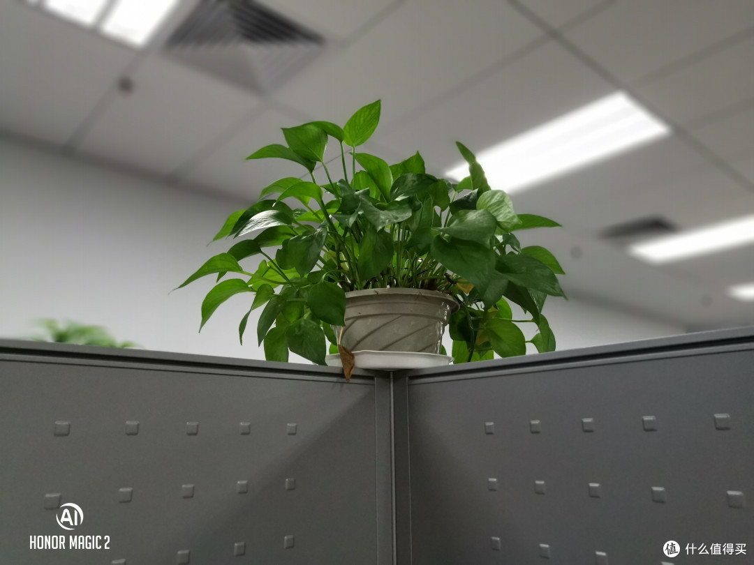 珠海可口可乐金湾绿色智造基地正式启用 总投资约8.35亿元