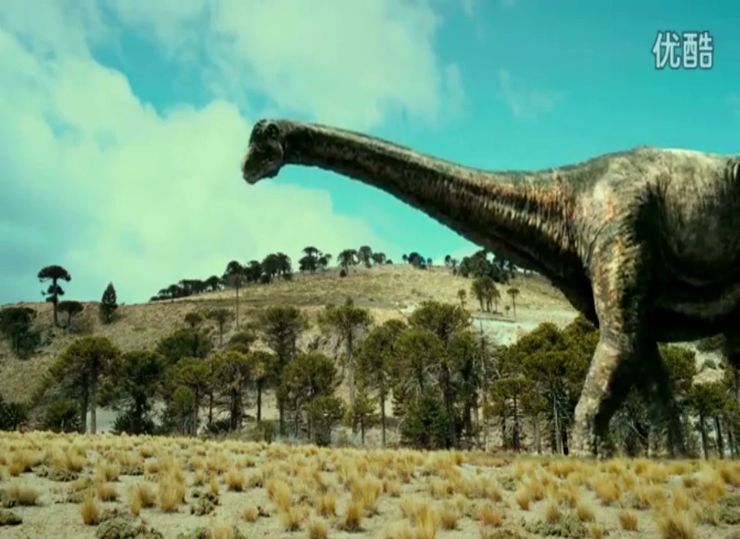 阿根廷发现一种新的草食性恐龙化石