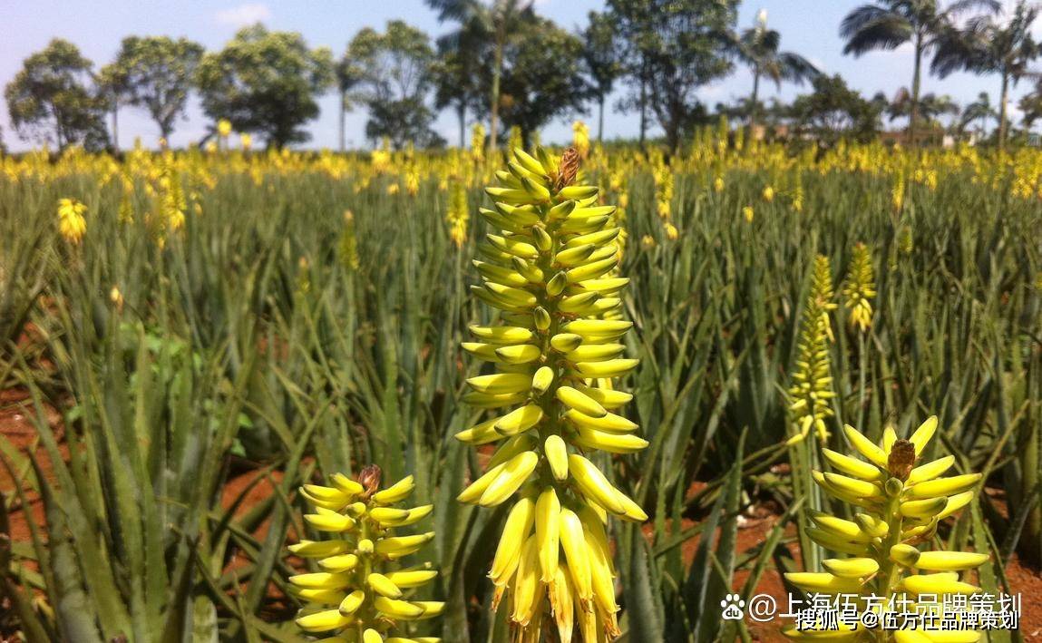 硬科技研发投入领航 上市公司“含科量”跃升