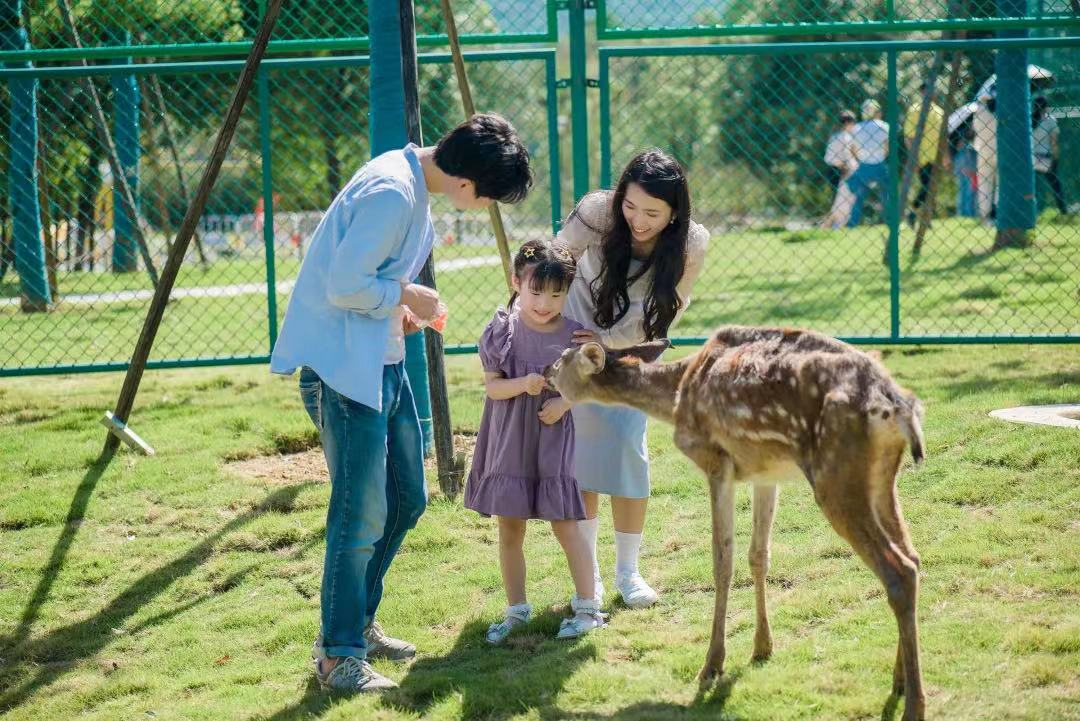 花海遇萌宠！成都首届国际宠物运动会解锁五一新玩法