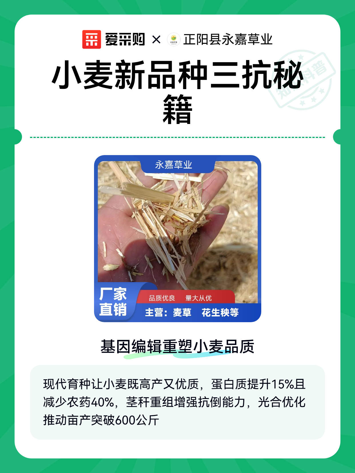 我国科学家揭示小麦品质育种新路径