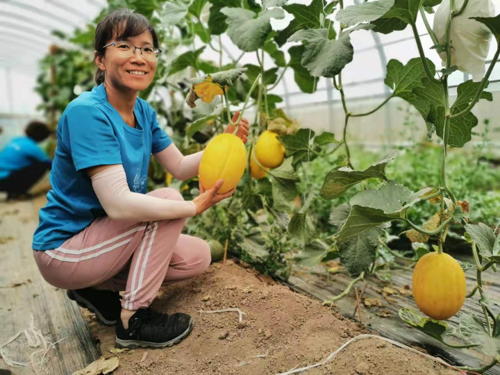 绿色投资排雷周报：因超过许可排放浓度排放水污染物，银轮股份控股公司被罚24.2万元