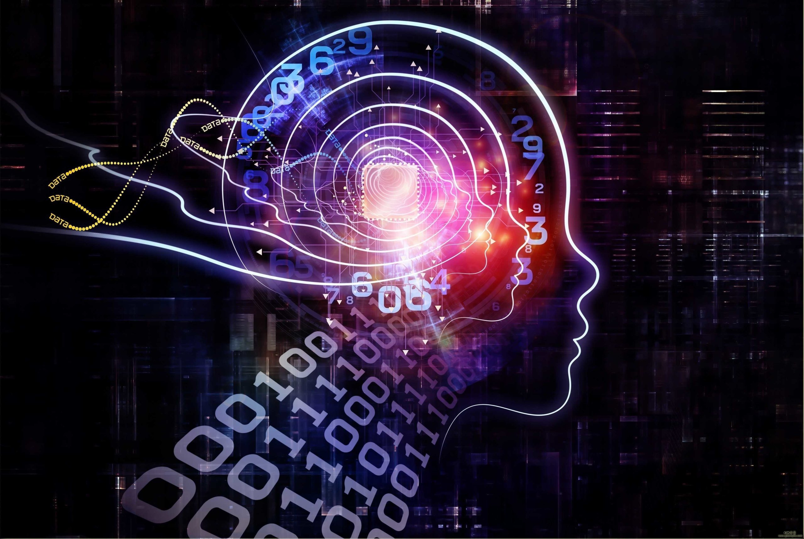 我国科研人员实现人工细胞的不对称分裂