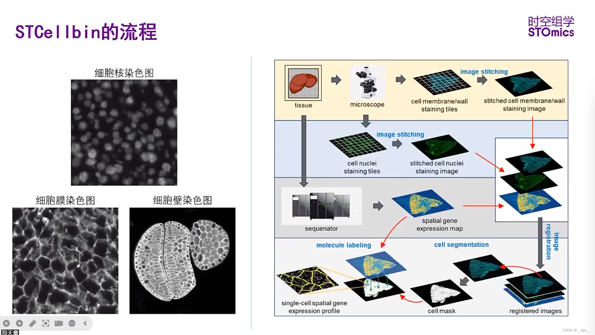 人保服务 ,人保服务_2026中国合成生物学行业：从"活细胞"到"cell-free"